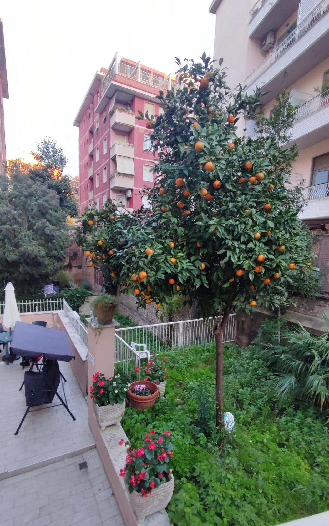 Vatican Green Garden Rome Extérieur photo