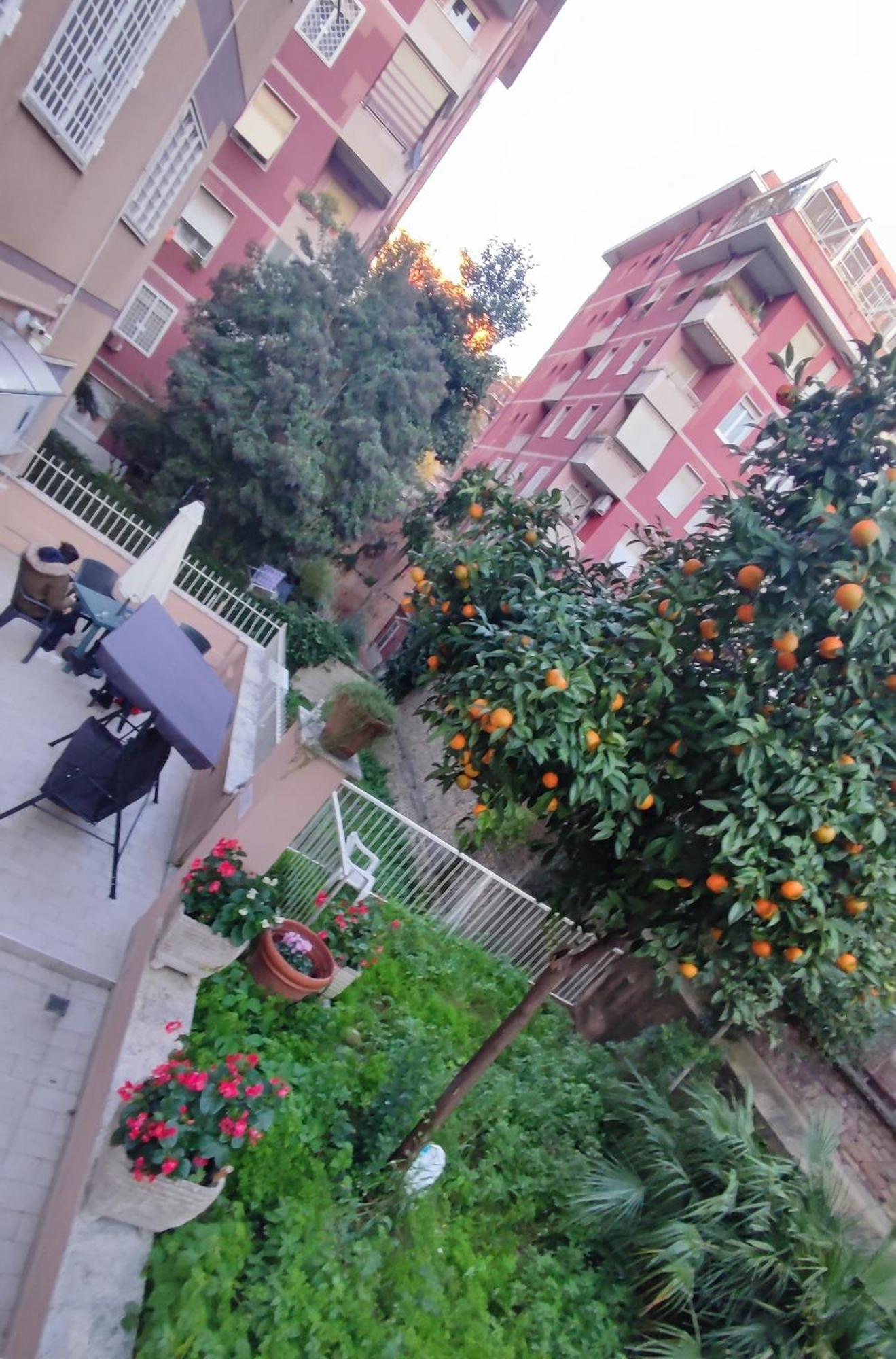 Vatican Green Garden Rome Extérieur photo